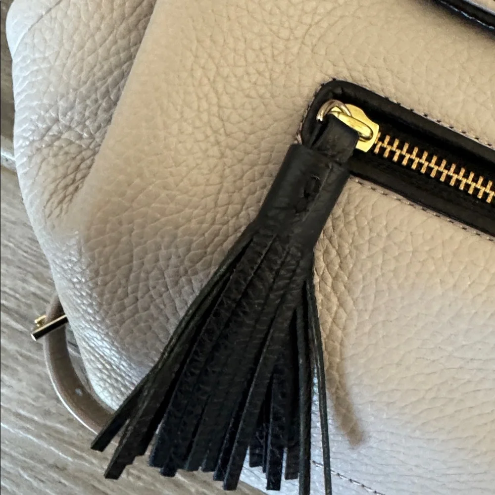 Kate Spade Chester Street Kacy Moussefrost with black accent and tassel backpack